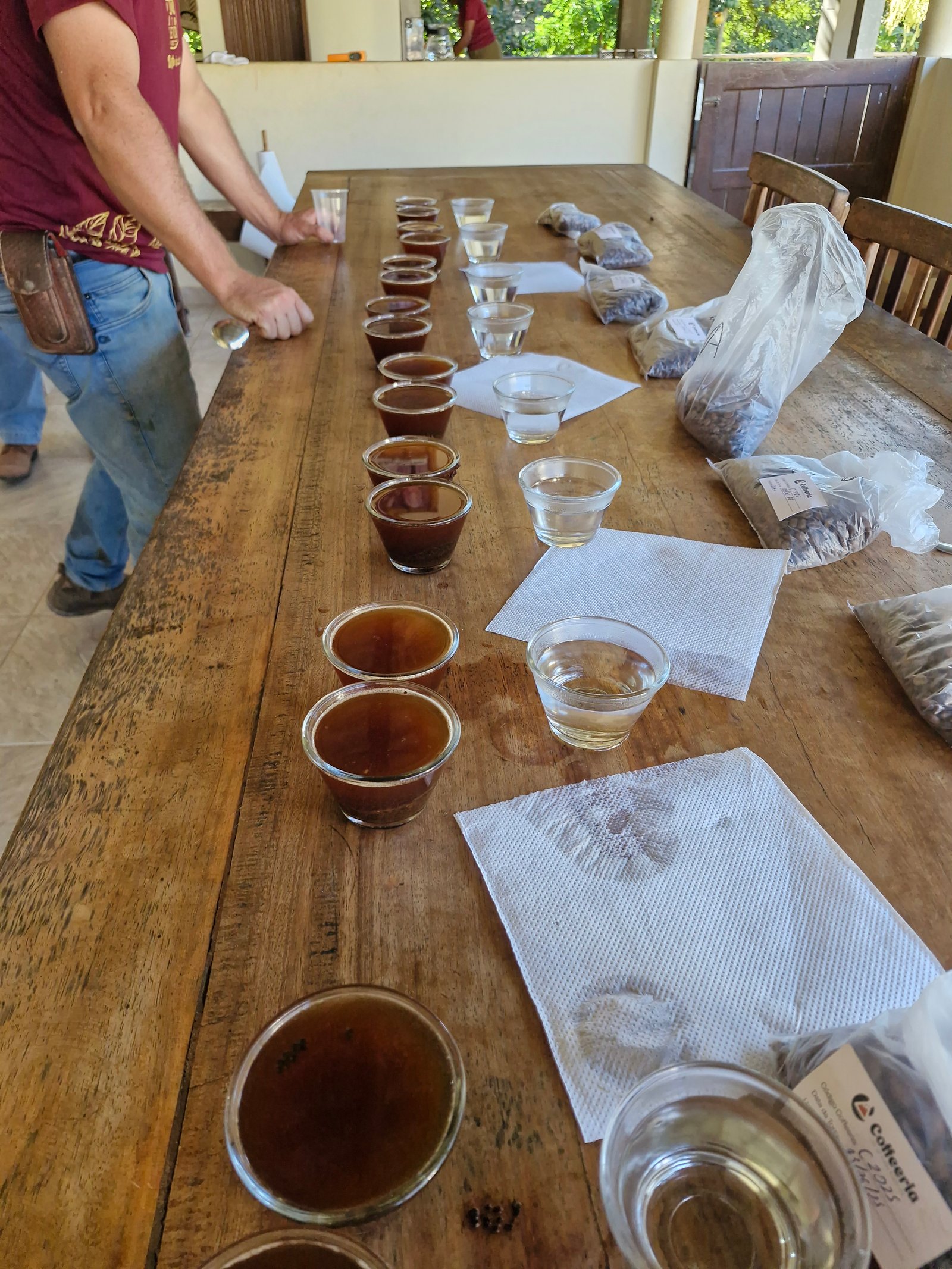 Lote de café especial em processo natural secando no terreiro