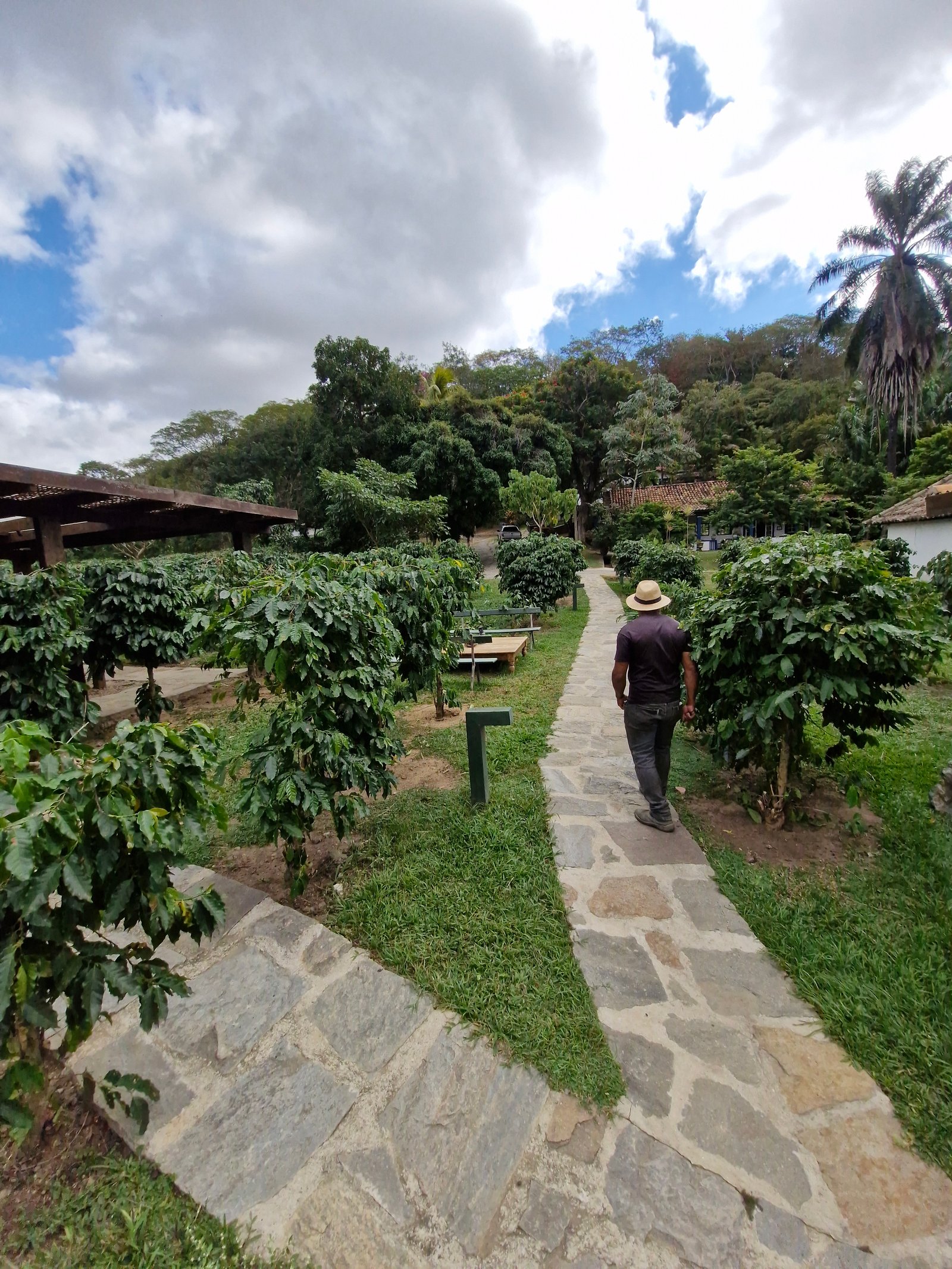Mesa de cupping em sessão de avaliação sensorial na Coffeeria