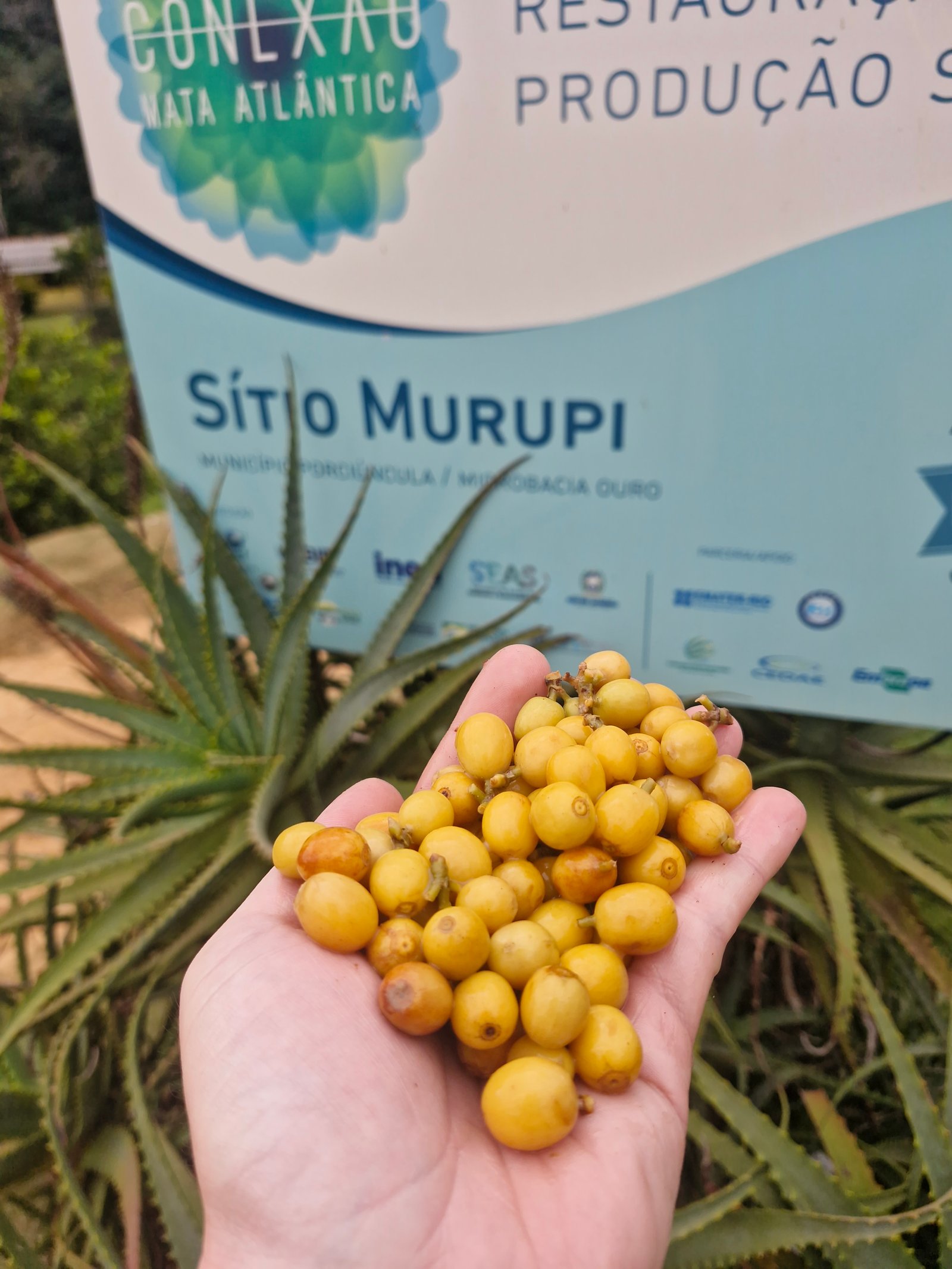 Visita técnica em fazenda parceira no sul de Minas Gerais